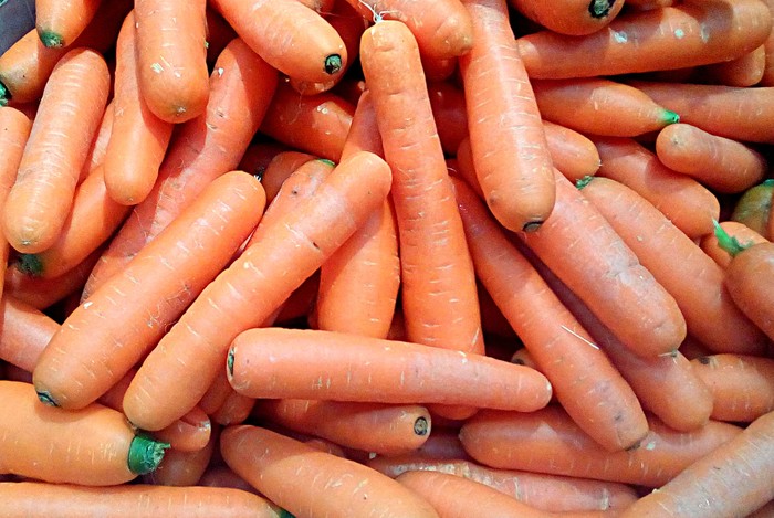 Рецепты блюд из моркови: вкусно, просто, полезно!