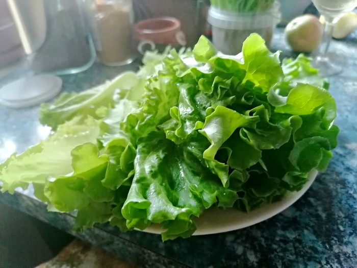 Зеленый салат для гарнира