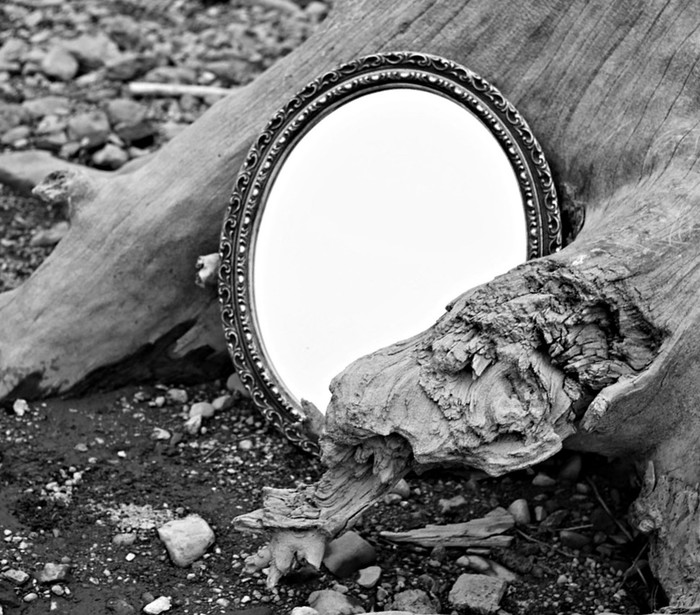 Зеркало у подножия дерева