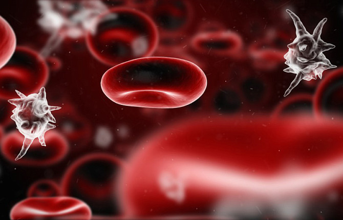 Патогенные микроорганизмы в крови