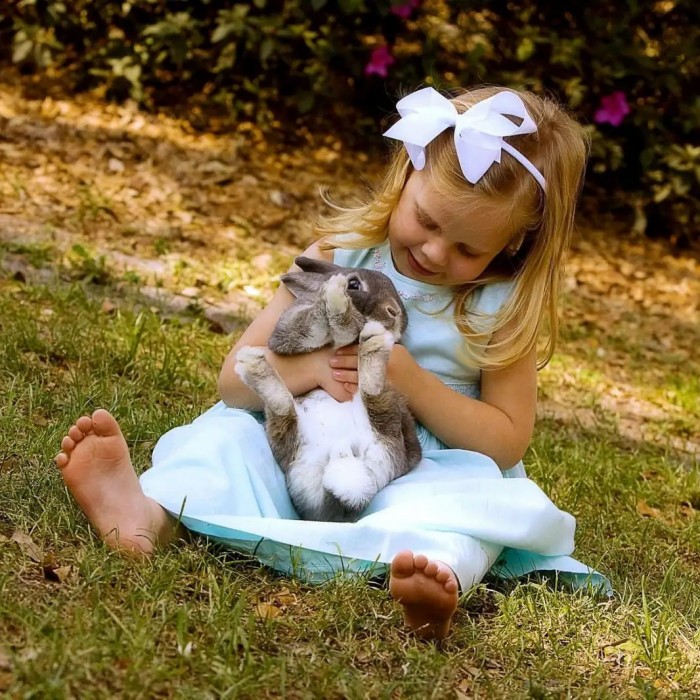 Кролик и девочка